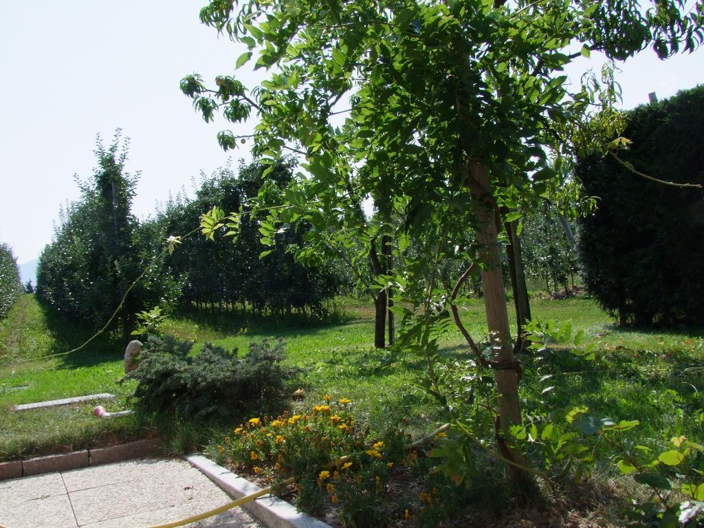 Agritur Fior di Melo Apartment Nanno Bagian luar foto